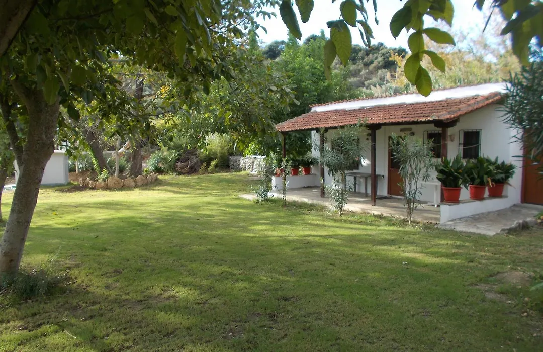 Villa Mina-1